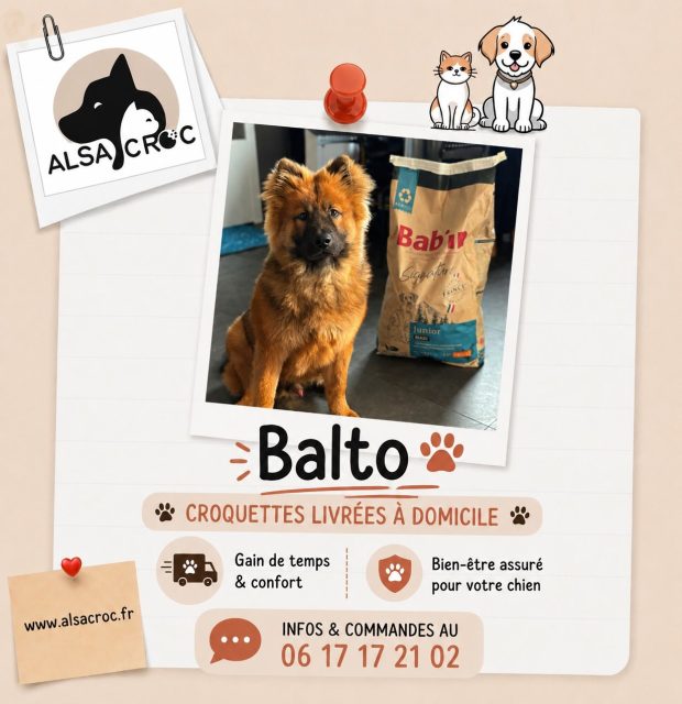 🐶✨ Une croissance maîtrisée pour bien démarrer dans la vie ! ✨Les chiots de grande race ont des besoins nutritionnels bien spécifiques. BAB’IN Signature Maxi Junior a été spécialement formulé pour accompagner leur développement en douceur.🐔 Riche en poulet et associé au riz, il apporte une alimentation savoureuse et hautement digestible.🌱 Grâce à son complexe de prébiotiques (FOS & MOS), il favorise l’équilibre de la flore intestinale et contribue au confort digestif de votre chiot.🦴 Son apport énergétique raisonné ainsi que son équilibre en calcium et phosphore soutiennent une croissance lente et harmonieuse, essentielle pour le bon développement des os et des articulations.✅ Convient aux chiots de grandes races ainsi qu’aux chiots de races géantes de 4 à 12 mois.📦 Disponible chez Alsacroc, avec livraison à domicile.
