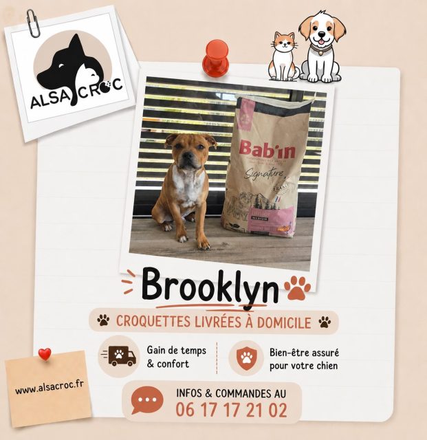 🐶 BAB’IN MEDIUM JUNIOR – Une alimentation pensée pour bien grandir ! 🐾✨ Riche en poulet (34 %) et riz pour apporter les nutriments essentiels à la croissance.
🌿 Prébiotiques FOS & MOS pour favoriser l’équilibre de la flore intestinale et une bonne digestion.
💪 Apport énergétique adapté aux besoins des chiots en pleine croissance.
🦴 Glucosamine & chondroïtine pour accompagner le développement articulaire.
🥣 Taille de croquettes adaptée à la morphologie des chiots de taille moyenne.👉 Une recette complète et équilibrée pour accompagner votre chiot dans ses premiers mois de croissance. ❤️