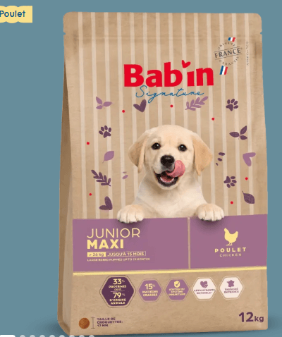 Maxi junior-Poulet