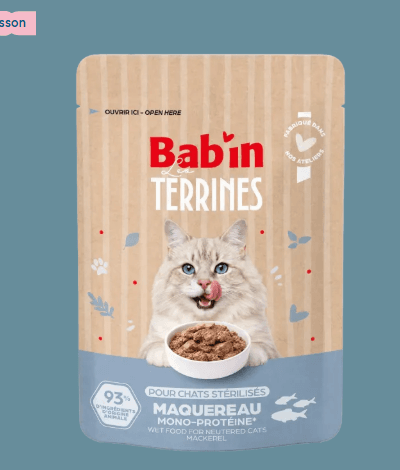 Terrine Chat - Poisson