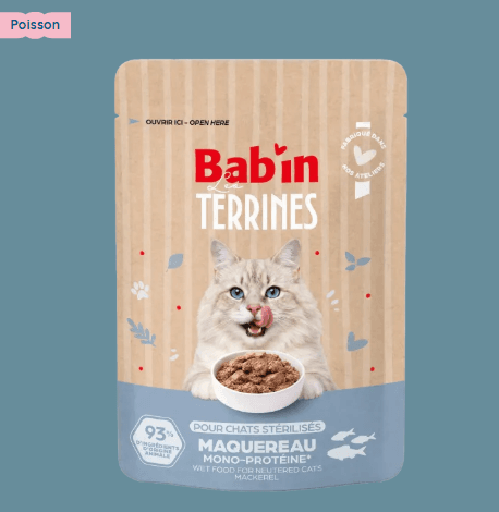 Terrine Chat - Poisson