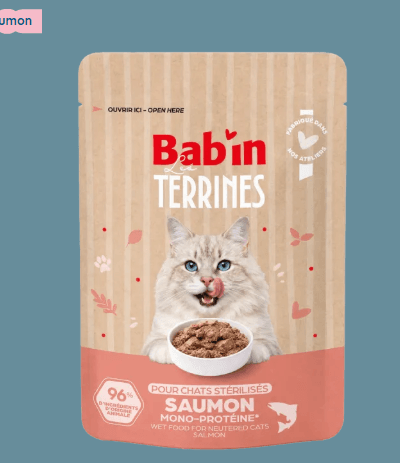 Terrine Chat - Saumon