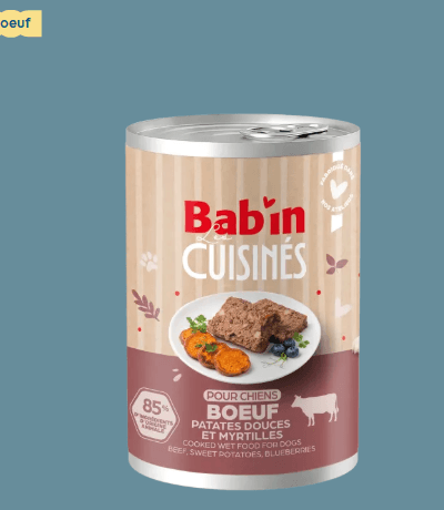 Terrine Cuisinée - Boeuf