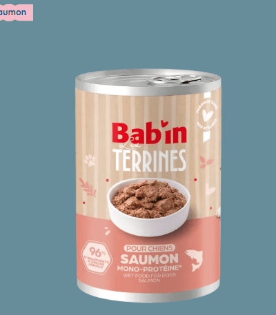 Terrine Chien - Saumon
