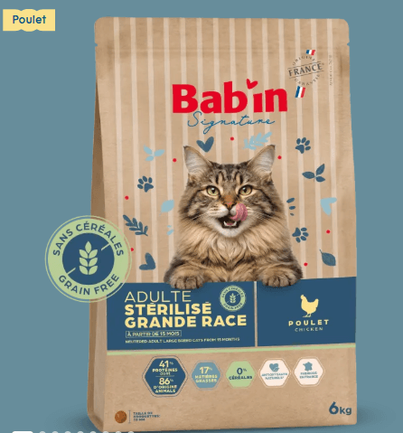Chat Adulte Grande Race - Sans Céréales