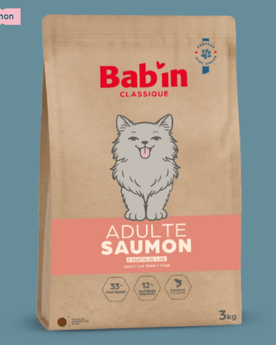 Chat Adulte Classique - Saumon